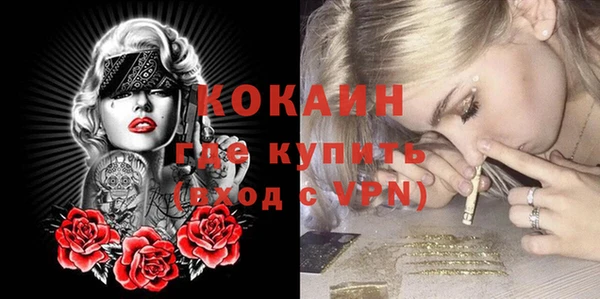 apvp Коряжма
