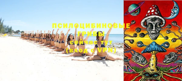 apvp Коряжма