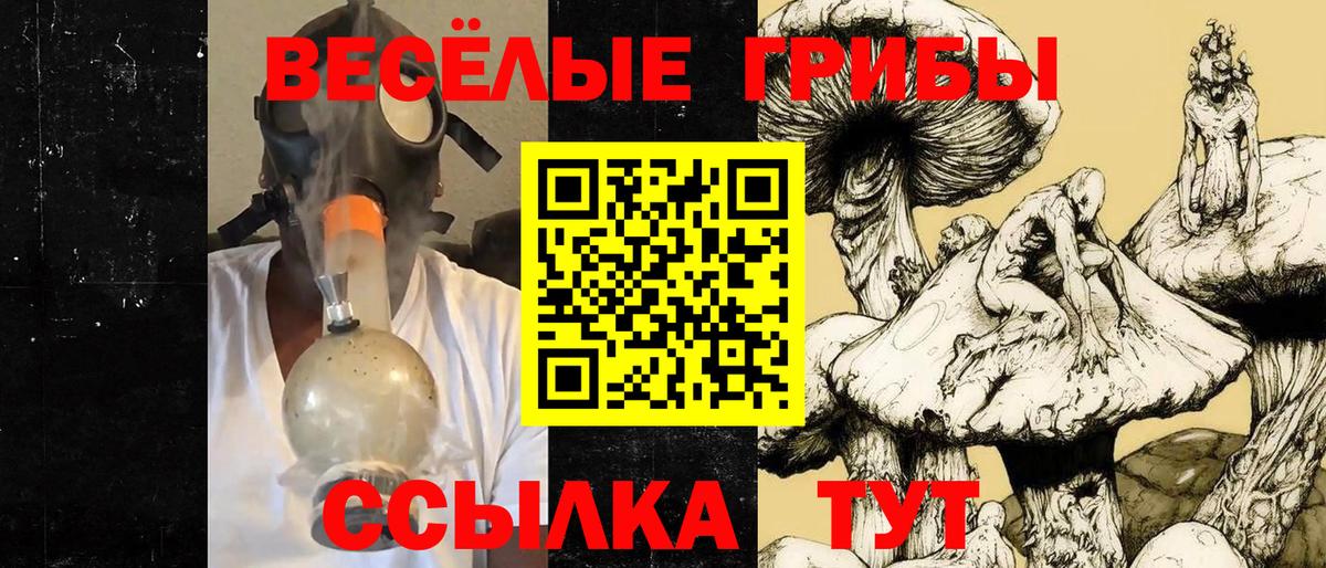 Псилоцибиновые грибы MAGIC MUSHROOMS  Псилоцибиновые грибы мухоморы  Снежинск  Вход с VPN 